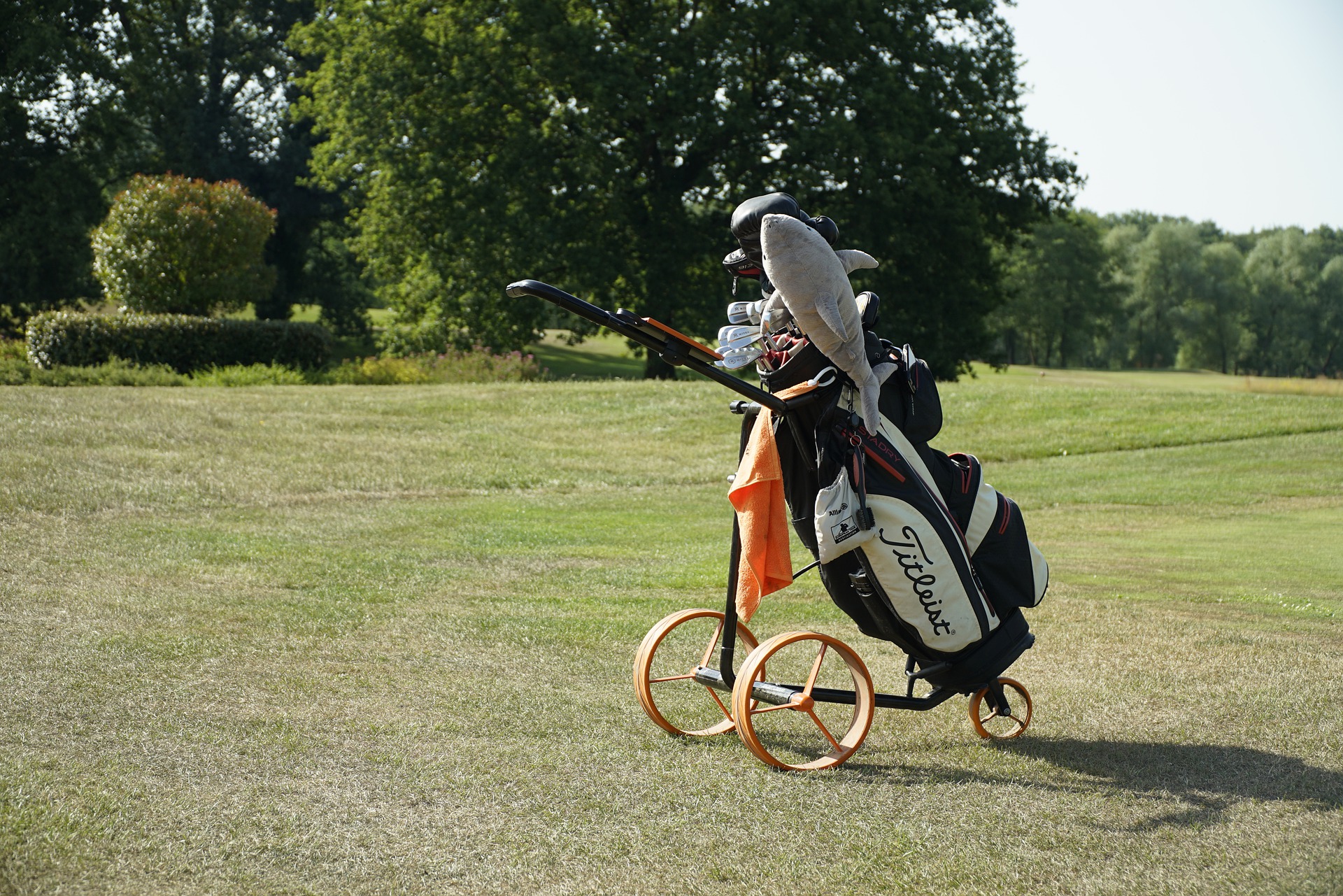 golf-bag-g50a9b2f0a_1920